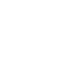 Ivy partners principale société de counsulting informatique